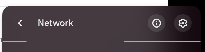 Screenshot des auf einem Chromebook geöffneten Netzwerkfensters