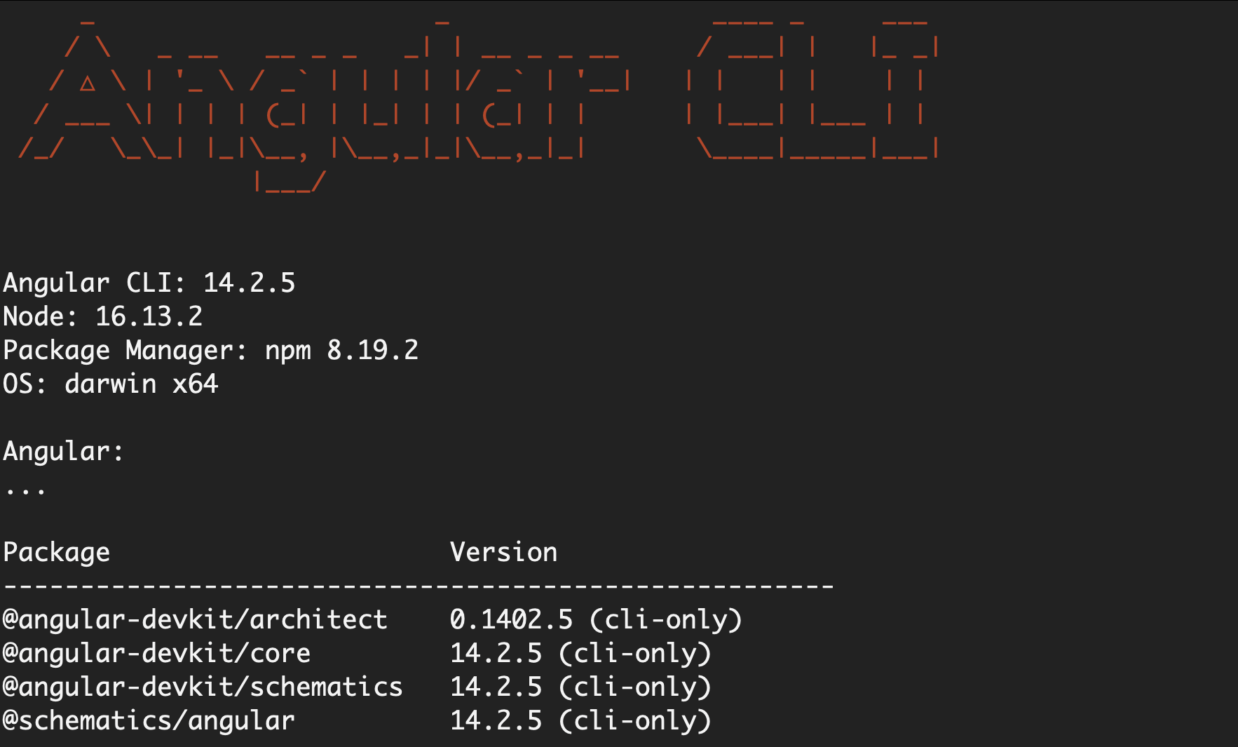 Résultat du terminal de la version Angular