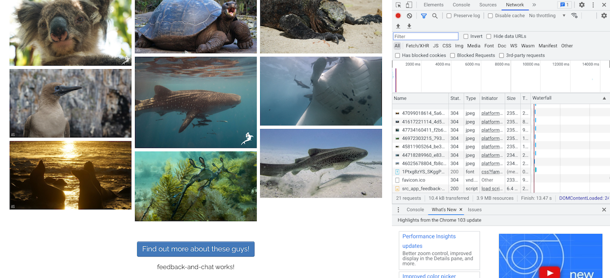應用程式螢幕截圖顯示 Chrome 開發人員工具面板開啟,顯示延遲載入的元件