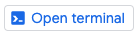 Open Terminal button