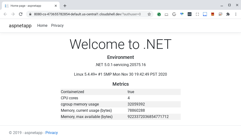 Captura de tela do aplicativo .NET V1