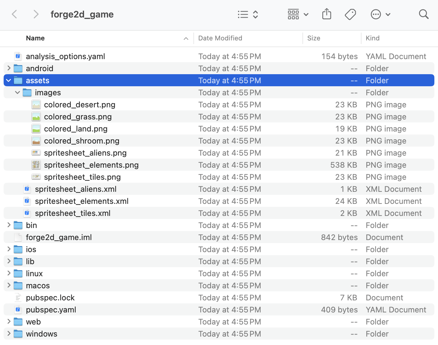 Un elenco di file della directory del progetto forge2d_game, con la directory degli asset evidenziata