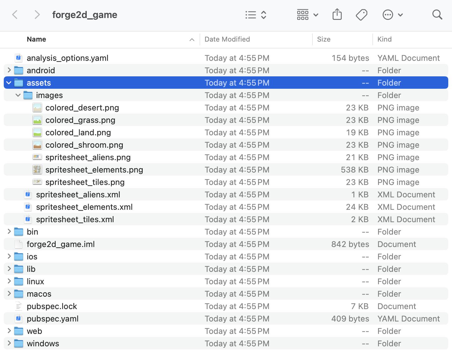 애셋 디렉터리가 강조 표시된 forge2d_game 프로젝트 디렉터리의 파일 목록
