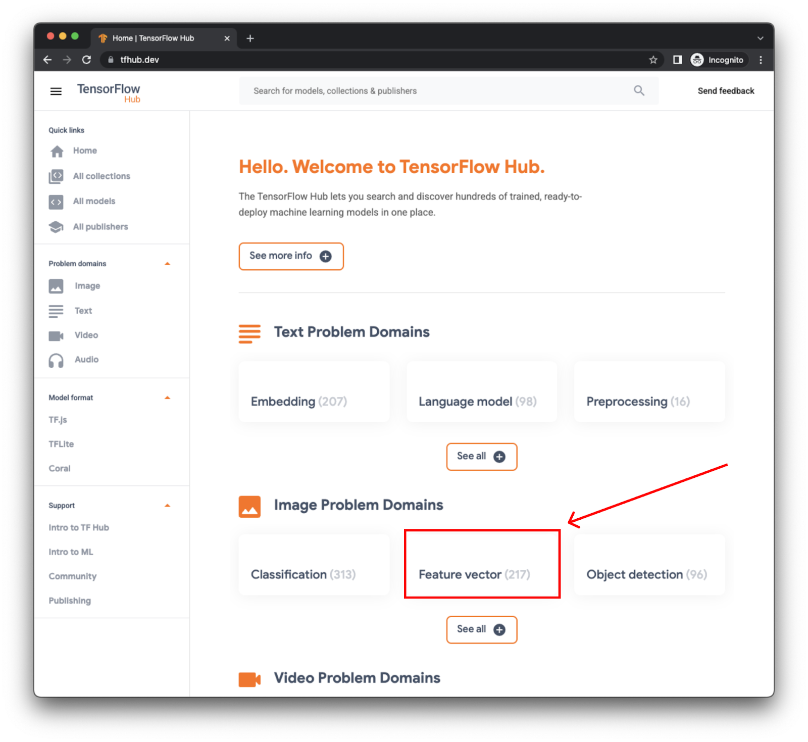 Image of the tfhub.dev page with a square highlighting the feature vector task